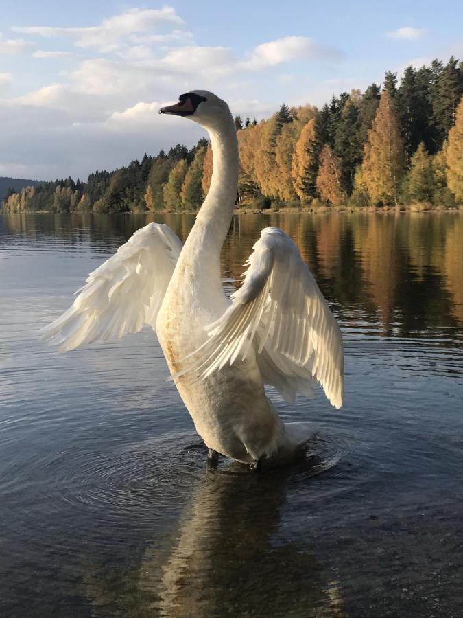 Villa Dum Na Lipne Lipno nad Vltavou Exterior foto